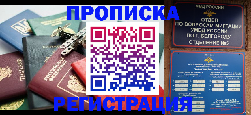 временная регистрация недорого в Энгельсе